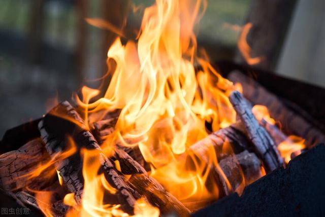 含束的成语，束成语有哪些成语大全（10个冷门却惊艳的小众成语）