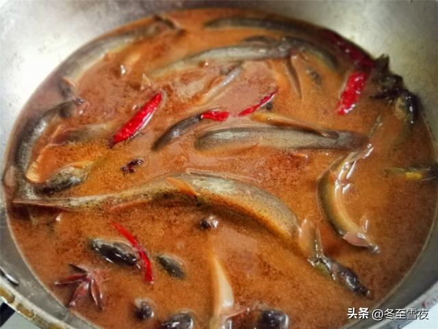 泥鳅鱼怎么做好吃，泥鳅鱼炖茄子的家常做法（多吃这鱼“赛人参”）