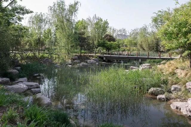 新郑机场属于哪个区，郑州市新郑国际机场属于哪个区（郑州航空港区有个问题没有解决好）