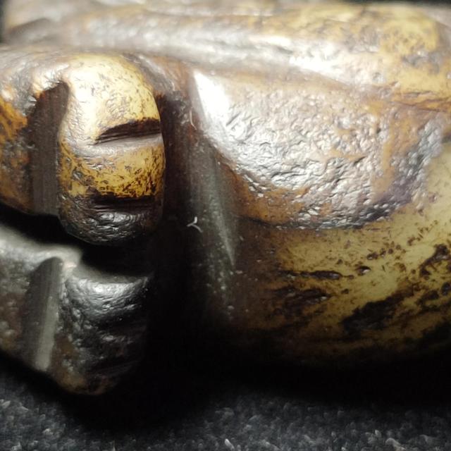 鸡的霸气语录，山鸡霸气语录（替俺的小公鸡辩解两句）