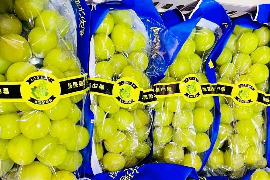 阳光玫瑰葡萄价格跳水，阳光玫瑰葡萄跌惨了么？