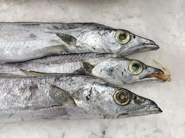 怎样挑选新鲜带鱼，如何挑选鲜带鱼（牢记“3买3不买”）