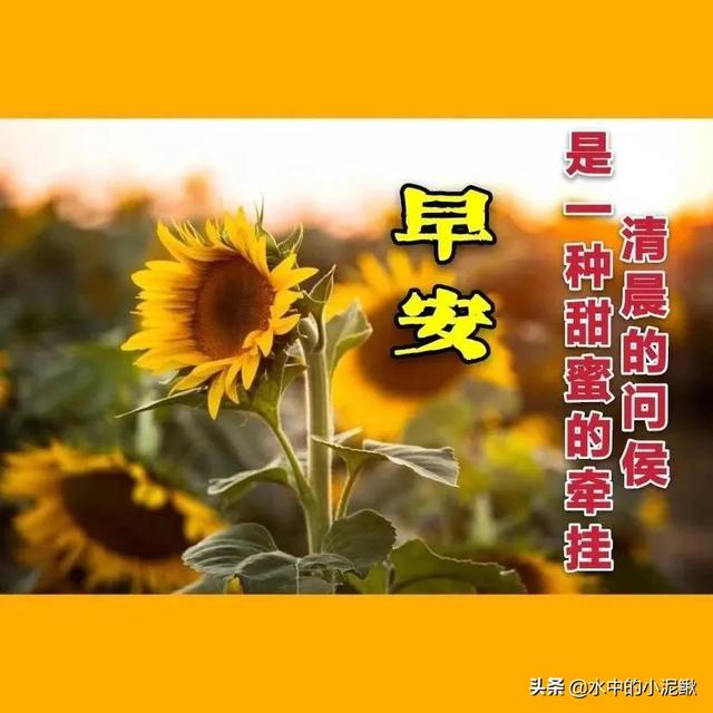 工作正能量心灵鸡汤，工作正能量分享心灵鸡汤（每一段都在激励着大家）