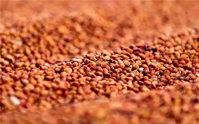 坤沙工艺酿造的酒有哪些，坤沙工艺酿造的酒有哪些品种（推荐3款好喝不贵的坤沙酒）