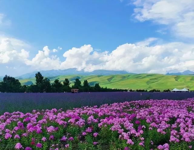 最浪漫的地方，国内浪漫的旅游地方（国内最浪漫的10个甜蜜旅行圣地）