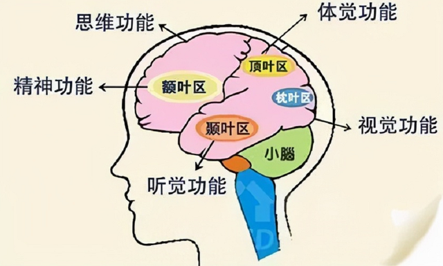 蛇是哺乳动物吗，蛇属于兽类吗（捕蛇人打死73条毒蛇）