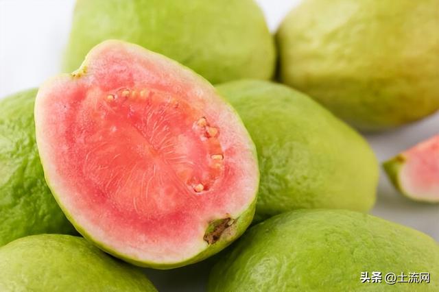 芭乐几月份成熟，芭乐成熟的季节是几月（和芭乐的区别是什么）