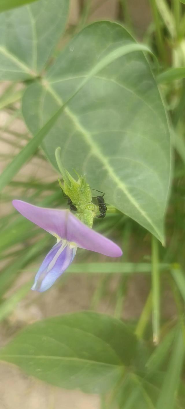 佛法修心口诀，禅宗心法口诀（修心不知如何修）