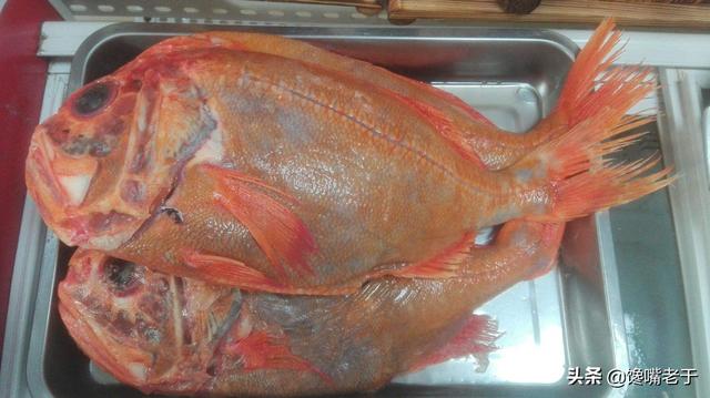 海鱼怎么做好吃，鱼怎么弄才好吃呢（买海鱼：这5种可以多买着吃）