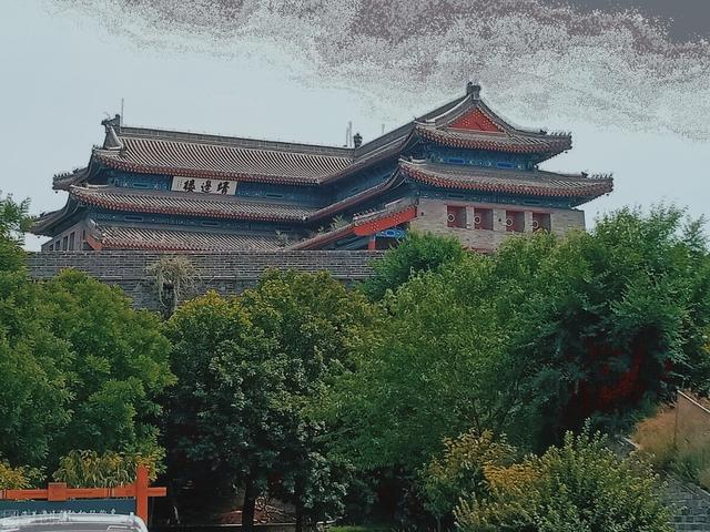 关于马的诗句古诗，关于马的古诗50首（中国诗词大会飞花令——马）