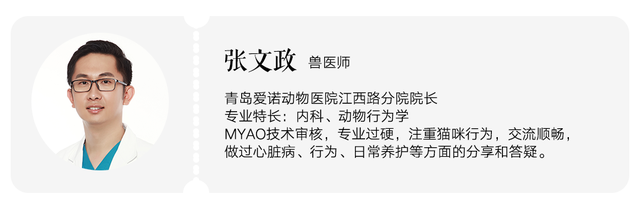 如何读懂猫的叫声语言，猫的叫声对话（一次性教你看懂猫咪语言）