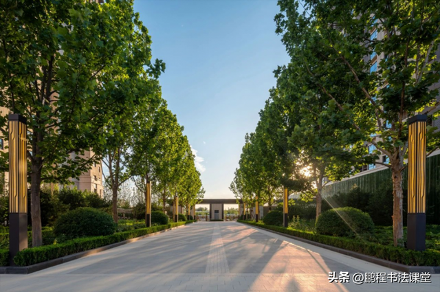 梦见植物是什么征兆，干货丨植物寓意篇