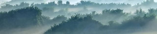 重庆仙女山景点介绍，重庆仙女山有哪些景点值得去（一个美得不可方物的人间仙境）