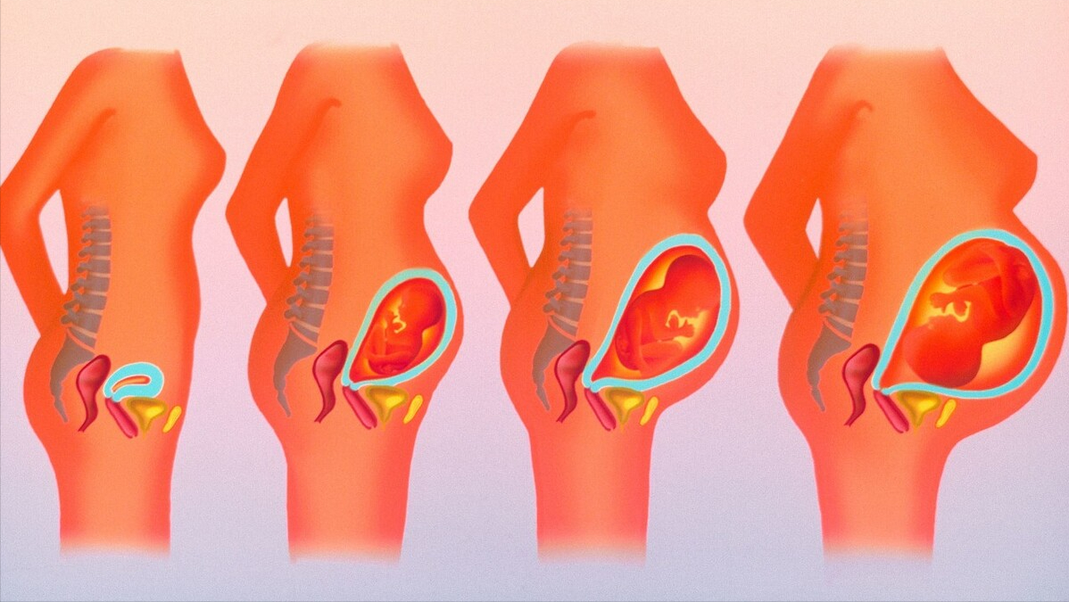 "上怀"和"下怀"到底有哪些不同?