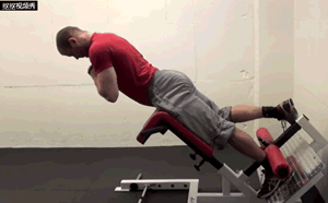 怎么练下背肌群，4招下背核心训练