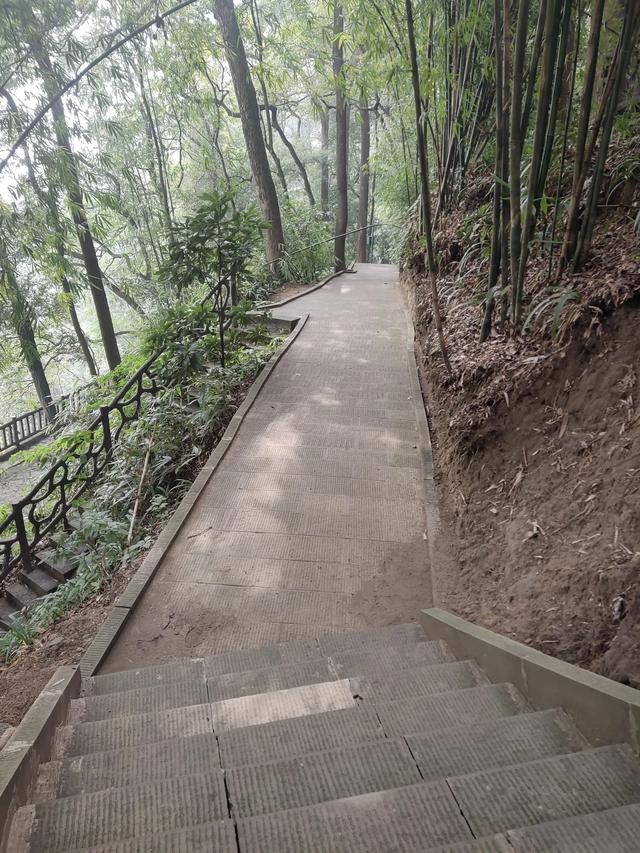 歌乐山森林公园，重庆旅游必去景点（歌乐山国家森林公园）