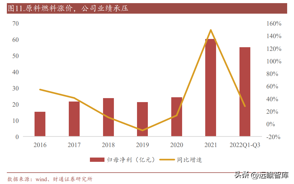 泰山玻纤（玻纤行业龙头）