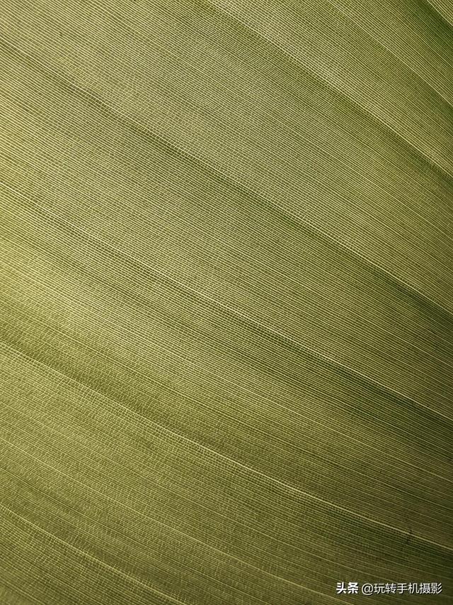 什么情况下拍照用HDR模式，拍照中的hdr是什么模式（你想不到的公园拍照技巧）