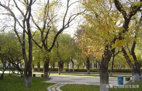 卫校出来能干嘛，卫校毕业出来能干嘛（卫校毕业后可以到哪些地方就业）