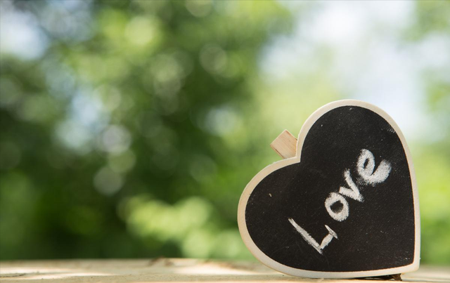 感情和爱情有什么区别，爱情和感情的含义和区别（什么是感情什么是爱情）