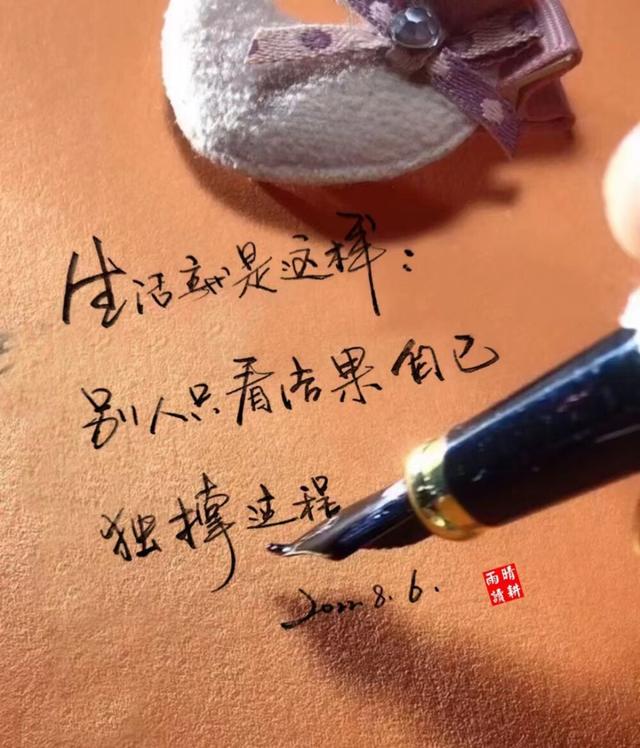 努力就会有收获的句子，坚持努力就会有收获的句子（手持烟火以谋生）