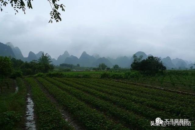 桂林到阳朔一天怎么玩，桂林到阳朔的N种玩法