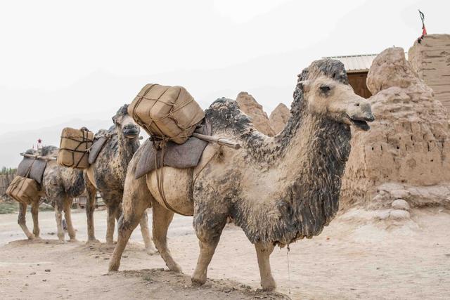 大话西游拍摄地，大话西游取景地今昔对比（我国十大影视基地之一）