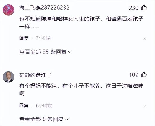陈坤儿子的妈妈，深度揭秘陈坤儿子生母身份（像哪位女明星认出来了么）