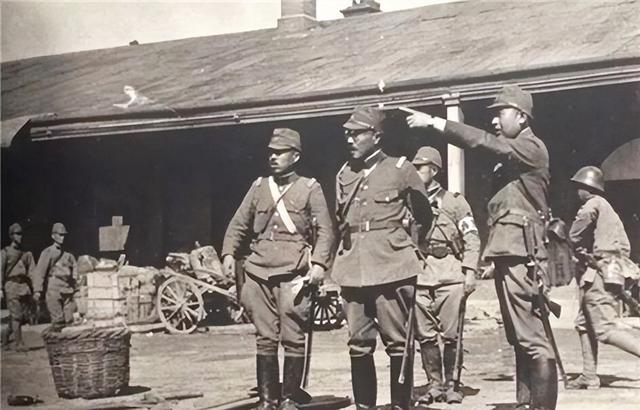 八嘎呀路是什么意思，猫说八嘎呀路是什么意思（日本人爱骂的“八嘎呀路”）