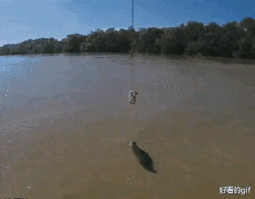 高情商回复别人的羡慕，怎么幽默回复别人羡慕（“男生最顶不住女生叫他什么）