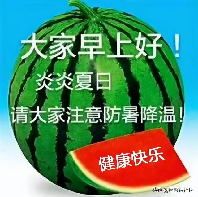 早上好的问候美句，关于早上好的问候美句有哪些（6月20日今生有缘）