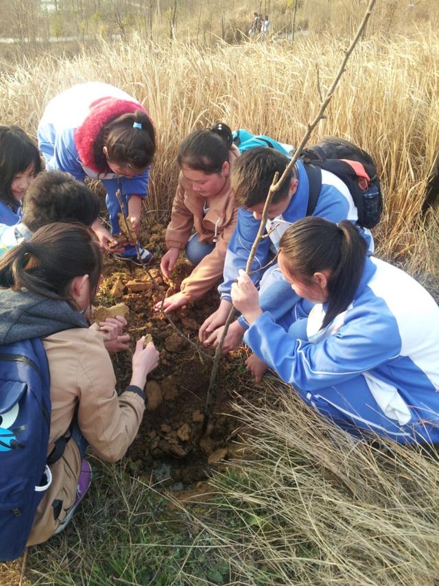 班主任成长故事，教师成长故事（记六盘水市第一中学市级名班主任张银娟）