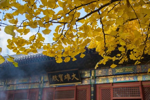 北京柔区十大著名景点