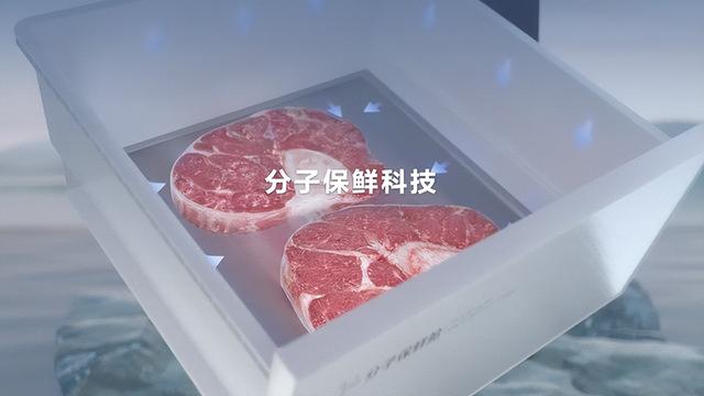 家用冰箱选择哪种好，家用冰箱怎么选择（分子保鲜科技加持的TCL格物冰箱Q10到底多牛）