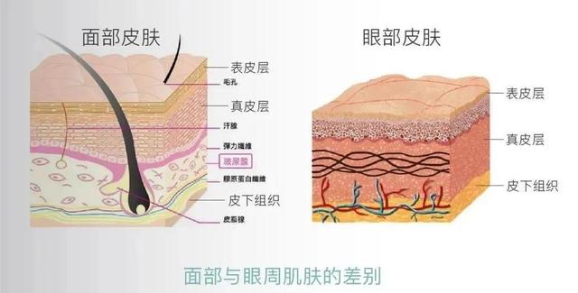 眼霜真的有必要使用吗，看到杨幂对护肤品“取舍”后