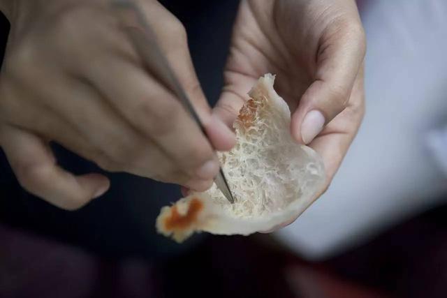 燕窝多少钱一斤，燕窝价格多少一斤（小哥筑屋引燕一个月产5斤燕窝）