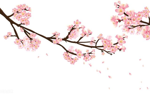 精选的祝愿语大全，祝福语大全简单（十句美好的祝愿送给你）