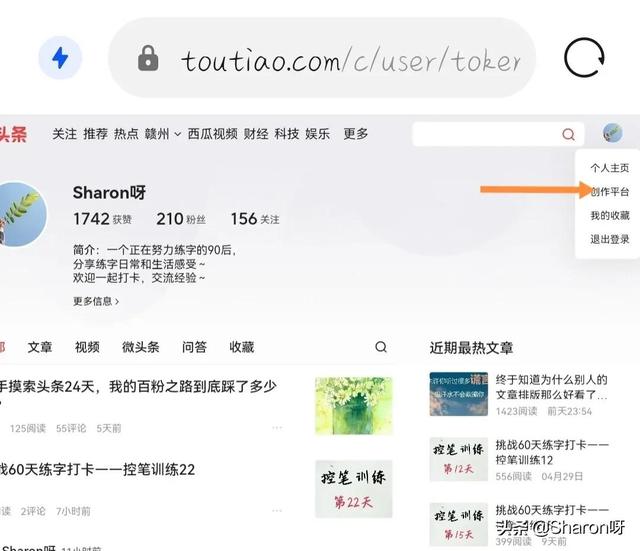 怎么把手机浏览器改成电脑版，手机浏览器如何将浏览网页改成电脑版（原来手机也能切换电脑版头条）