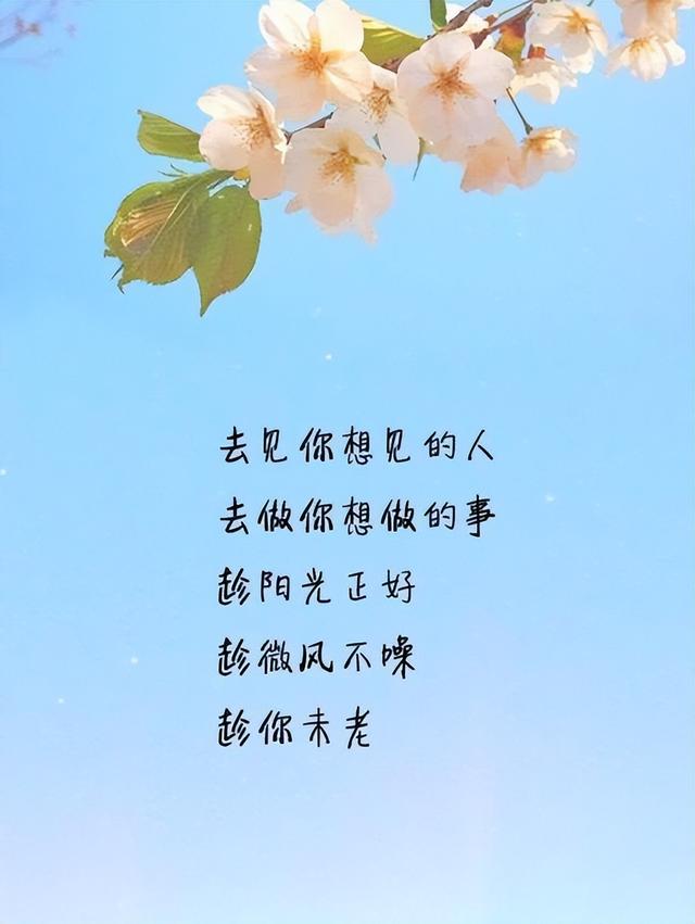 感情心语句子，感情心语句子简短（总有一句触动你的心）