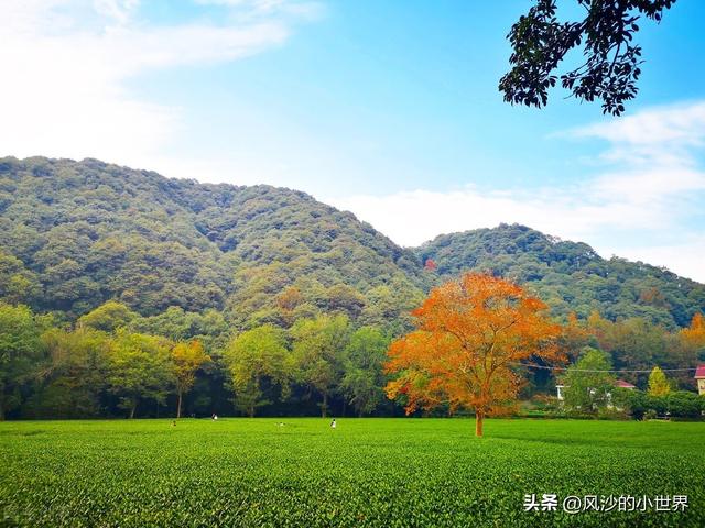 杭州三日游攻略求解，杭州3天游攻略（保姆级旅游攻略）