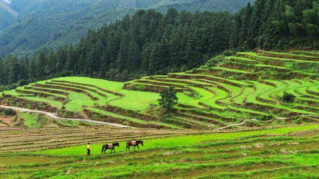 清远连州十大景点大全，清远这10个宝藏景点