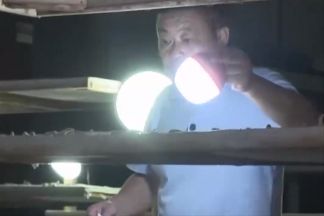 蚕茧价格多少一斤2020，蚕茧价格（他靠养蚕致富，年收入将近千万）