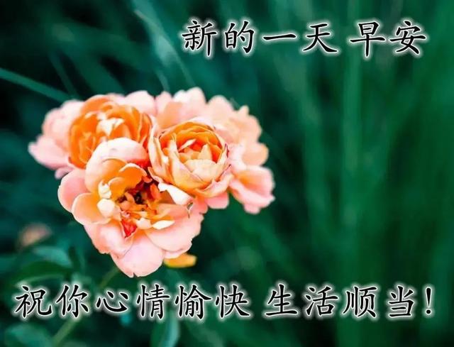 祝福全家的祝福语，2022年春节祝福语全家（直接群发家人朋友的早安祝福语精选大全）