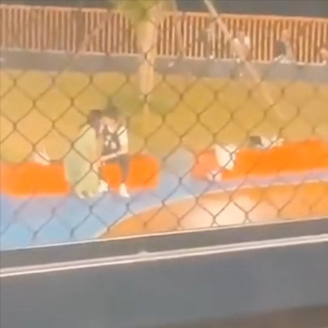 冬凌草的功效与作用，冬凌草片的功效与作用（跟胡军陈建斌合作《黑土无言》即将播出）