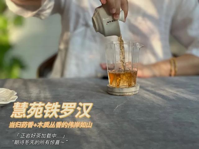 铁罗汉是什么茶，铁罗汉茶属于什么茶（不识慧苑老丛铁罗汉）