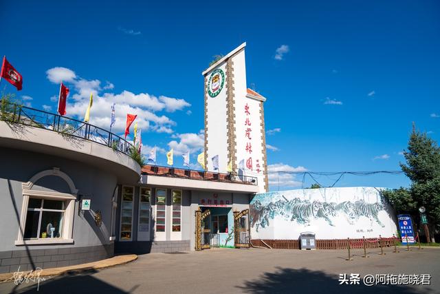 哈尔滨旅游攻略自由行攻略最新，哈尔滨一日游攻略