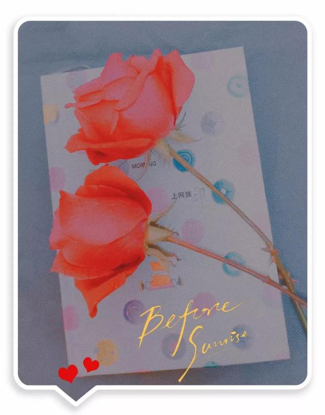 精选情人节的玫瑰的作文六篇，给女朋友的情人节小作文（情人节的玫瑰花<原创>）