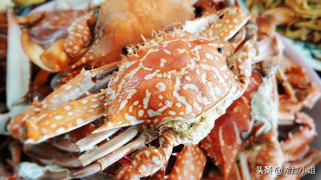 湛江十大特色美食，湛江十大传统美食（来湛江旅游不可错过的10道美食）