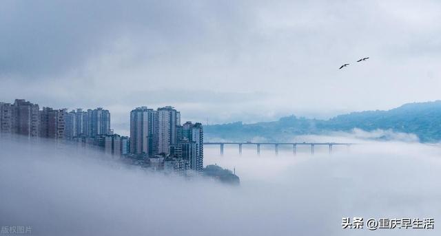 重庆涪陵区发展前景，重庆新崛起的3个百万人口强区