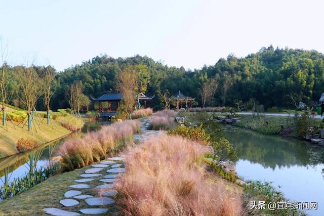 竹海生态旅游景区介绍，到绿水青山的蜀南竹海“走一遭”吧